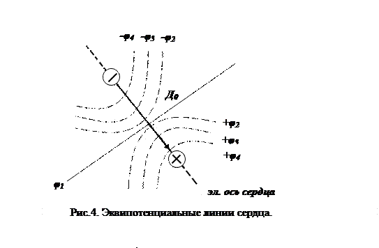 Биофизические принципы исследования электрических полей тканей и органов - student2.ru