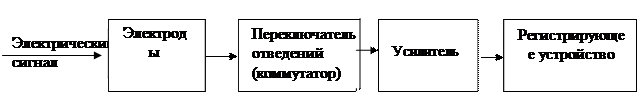 Биофизические принципы исследования электрических полей тканей и органов - student2.ru