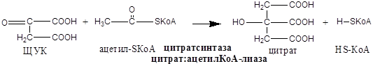 Биохимические основы энзимотерапии, применение ферментов в энзимотеравии (примеры) - student2.ru