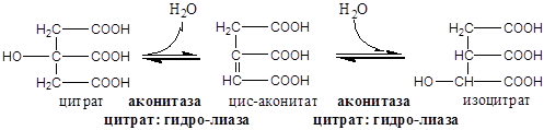 Биохимические основы энзимотерапии, применение ферментов в энзимотеравии (примеры) - student2.ru