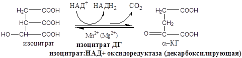 Биохимические основы энзимотерапии, применение ферментов в энзимотеравии (примеры) - student2.ru