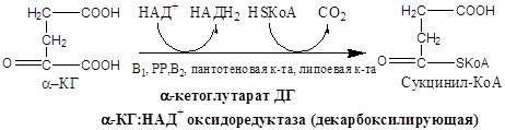 Биохимические основы энзимотерапии, применение ферментов в энзимотеравии (примеры) - student2.ru