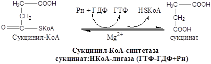 Биохимические основы энзимотерапии, применение ферментов в энзимотеравии (примеры) - student2.ru