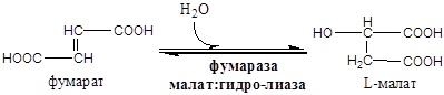 Биохимические основы энзимотерапии, применение ферментов в энзимотеравии (примеры) - student2.ru