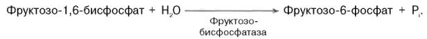 Биосинтез глюкозы - глюконеогенез - student2.ru