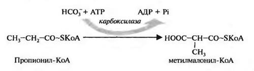 Биотин (витамин Н), антисеборрейный - student2.ru