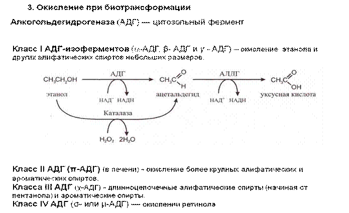 Биотрансформация — метаболическое превращение эндогенных и экзогенных химических веществ в более полярные (гидрофильные) соединения. - student2.ru