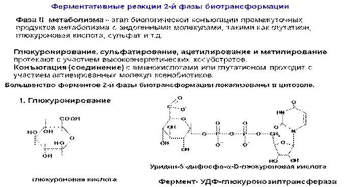 Биотрансформация — метаболическое превращение эндогенных и экзогенных химических веществ в более полярные (гидрофильные) соединения. - student2.ru
