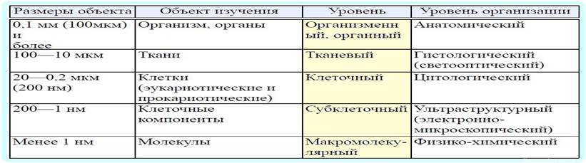 уровни организации живой природы - student2.ru