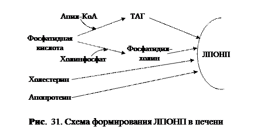 Болезни обмена холестерина - student2.ru