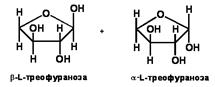 Большинство природных моносахаридов принадлежит к D-ряду - student2.ru