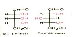 Большинство природных моносахаридов принадлежит к D-ряду - student2.ru