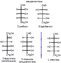 Большинство природных моносахаридов принадлежит к D-ряду - student2.ru