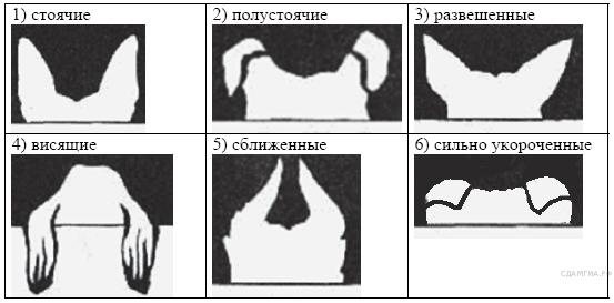 борь­ба за су­ще­ство­ва­ние - student2.ru