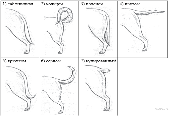 борь­ба за су­ще­ство­ва­ние - student2.ru