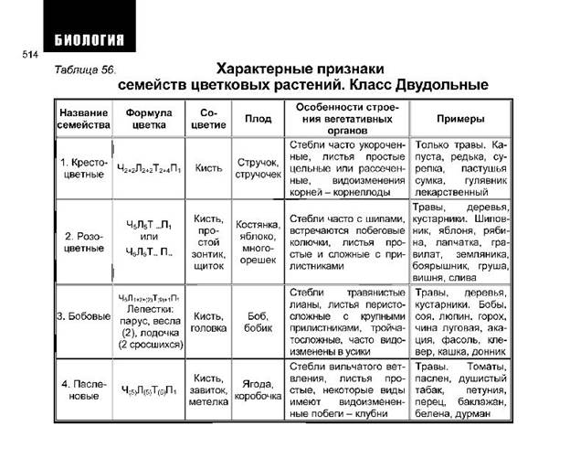 ЦАРСТВО РАСТЕНИЯ (общая характеристика) - student2.ru
