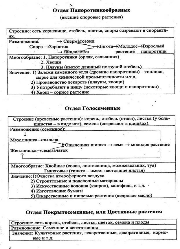 ЦАРСТВО РАСТЕНИЯ (общая характеристика) - student2.ru