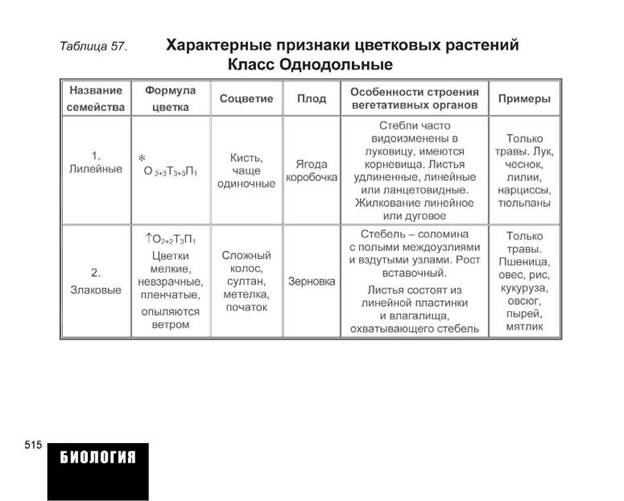 ЦАРСТВО РАСТЕНИЯ (общая характеристика) - student2.ru