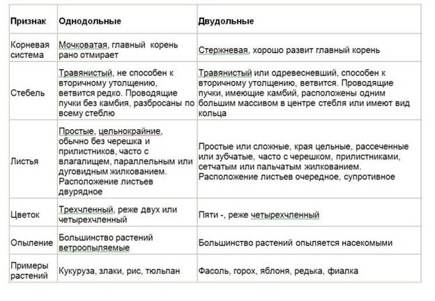 ЦАРСТВО РАСТЕНИЯ (общая характеристика) - student2.ru