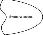 Человек как социальное существо. Соотношение социального и биологического в обшестве - student2.ru