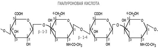 Цитохромы электронтранспортной цепи - student2.ru