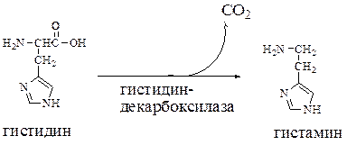 Декарбоксилирование аминокислот - student2.ru