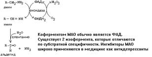 декарбоксилирование аминокислот - student2.ru