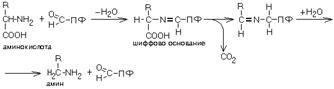 декарбоксилирование аминокислот - student2.ru