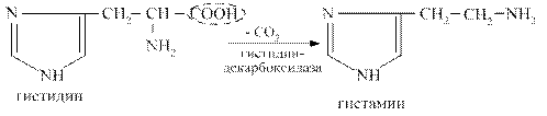 Декарбоксилирование аминокислот. Биогенные амины - student2.ru