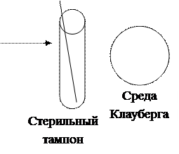 Дифференцирующие признаки биоваров возбудителя дифтерии - student2.ru