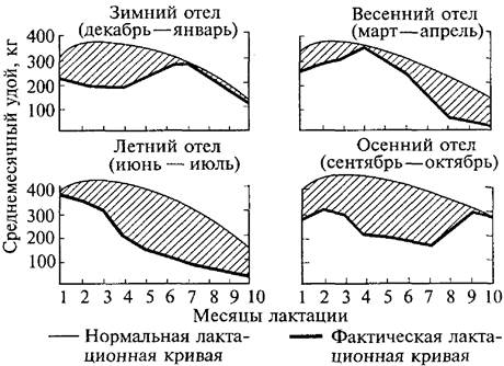 для студентов зооинженерного - student2.ru