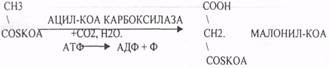 Доступность субстратов (концентрация реагирующих веществ); - student2.ru