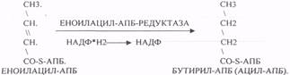 Доступность субстратов (концентрация реагирующих веществ); - student2.ru