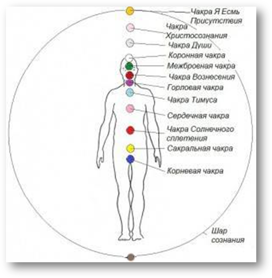 Двенадцать чакр Нового Человека - student2.ru