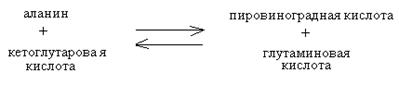 Факторы, определяющие активность ферментов - student2.ru