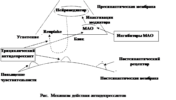 Фармакодинамика транквилизаторов и показания к применению - student2.ru