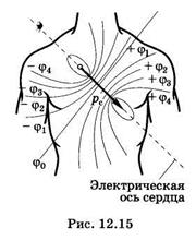 Физические основы электрокардиографии - student2.ru