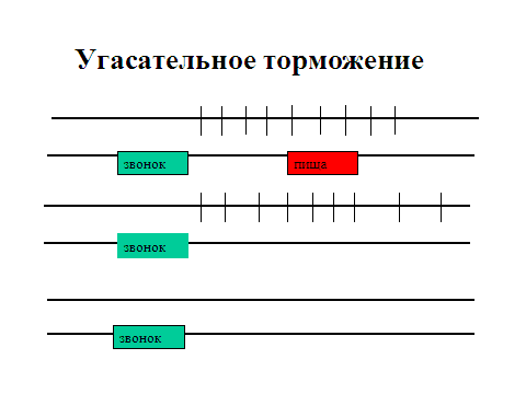 физиологические механизмы памяти - student2.ru