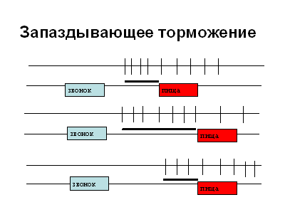 физиологические механизмы памяти - student2.ru