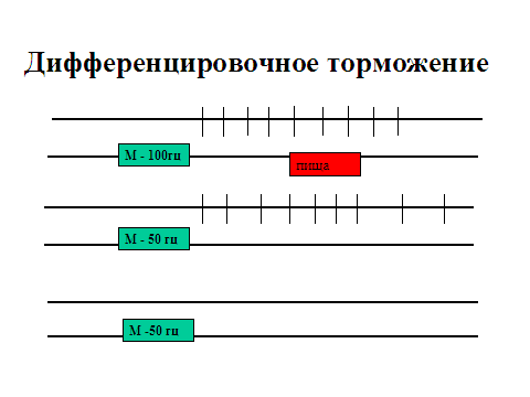 физиологические механизмы памяти - student2.ru