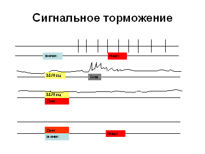 физиологические механизмы памяти - student2.ru