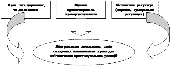 Фізіологія . За ред.. Шевчука В.Г. Вінниця. Нова книга . 2012. С. 258-266 - student2.ru