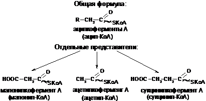 Формулы химических соединений, изучаемых в теме 2 - student2.ru