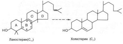 Формулы ланостерина и холестерина - student2.ru
