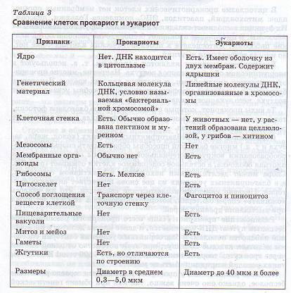 Формы клеточной и доклеточной организации жизни на земле. Сходство и различие про и эукариот. Вирусы, вироиды. Их характеристика и медицинское значение. - student2.ru