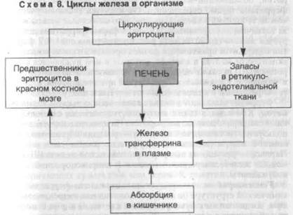 гемоглобиногенные пигменты - student2.ru