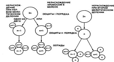 Генетические последствия загрязнения окружающей среды и генетический мониторинг - student2.ru