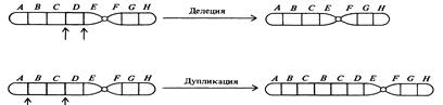 Генетические последствия загрязнения окружающей среды и генетический мониторинг - student2.ru