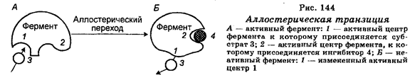 Генетический контроль экспрессии генов - student2.ru