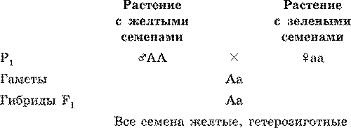 Генетика, ее задачи. Наследственность и изменчивость – свойства организмов. Основные генетические понятия - student2.ru